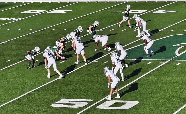 经济投资者 经济投资者