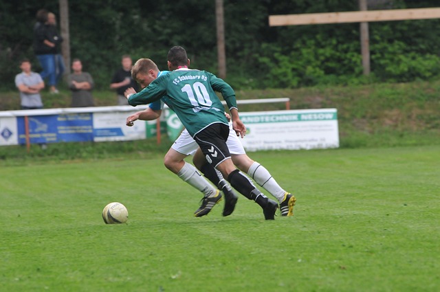 多数以胜利 多数以胜利