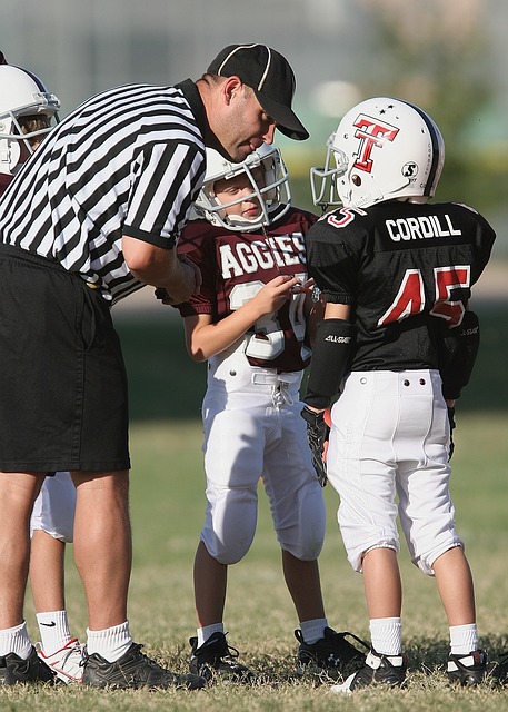 展示和交流 展示和交流