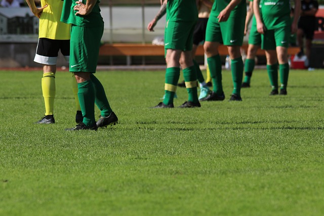 案例分析帕 案例分析帕