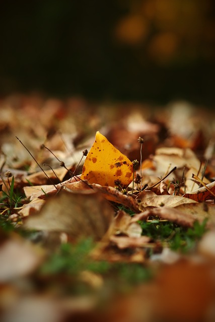 品牌纷纷寻 品牌纷纷寻