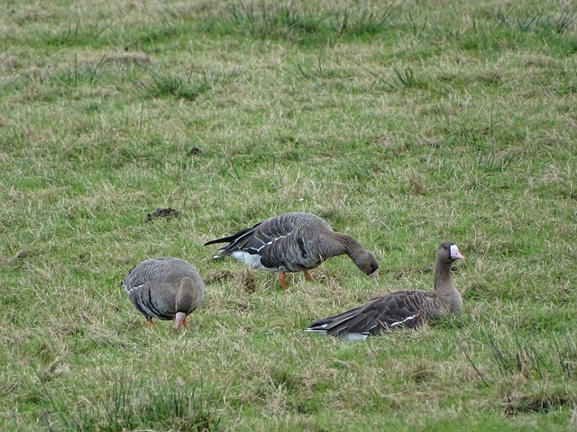 香港和澳门 香港和澳门