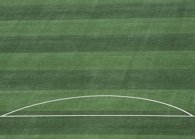 切尔西盼重 切尔西盼重