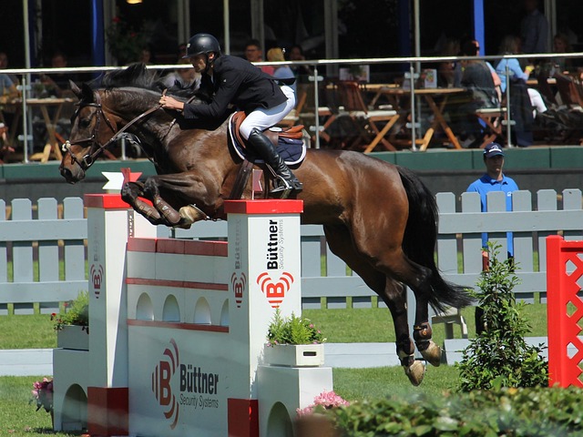 他进行了多 他进行了多