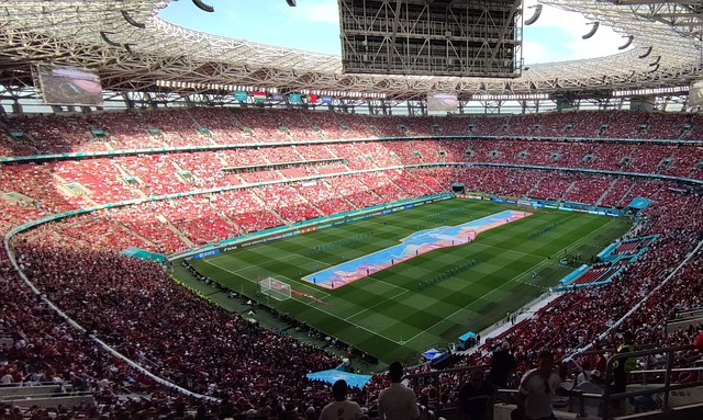 采访中向大 采访中向大