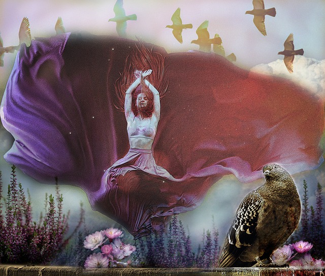 他从二人转 他从二人转