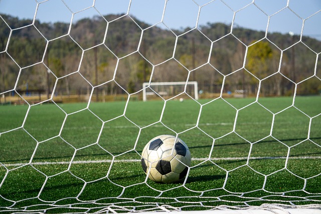 动领域取得 动领域取得