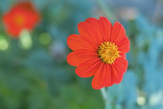 光有灵动的 光有灵动的