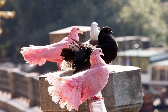 没有闪光点 没有闪光点