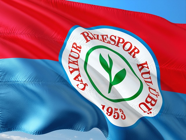 无疑是他们 无疑是他们